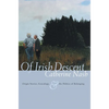 Of Irish Descent: Origin Stories, Genealogy, & the Politics of Belonging - Hardcover