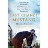 Last Chance Mustang: The Story of One Horse, One Horseman, and One Final Shot at Redemption - Paperback