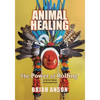 Animal Healing: The Power of Rolfing - Paperback