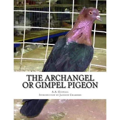 The Archangel or Gimpel Pigeon: Pigeon Breeds Book 8 - Paperback