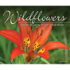 Wildflowers: Nature's Stunning Beauty on Display - Paperback