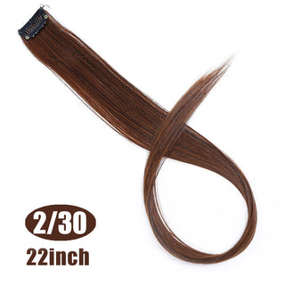 Buy 2i30 22 Inch Synthetic Colored Highlight Hair Extensions