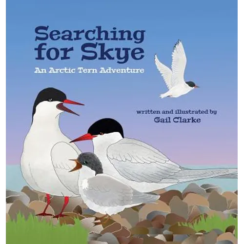 Searching for Skye: An Arctic Tern Adventure - Hardcover