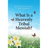 What Is A Heavenly Tribal Messiah: Heavenly Tribal Messiah Collection 1 - Paperback