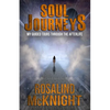 Soul Journeys: My Guided Tours Through the Afterlife - Paperback