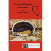 Placer Gold Deposits of Nevada - Paperback