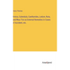 Arnica, Calendula, Cantharides, Ledum, Ruta, and Rhus Tox as External Remedies in Cases of Accident, etc. - Hardcover