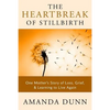 The Heartbreak of Stillbirth: One Mother's Story of Loss, Grief, and Learning to Live Again - Paperback