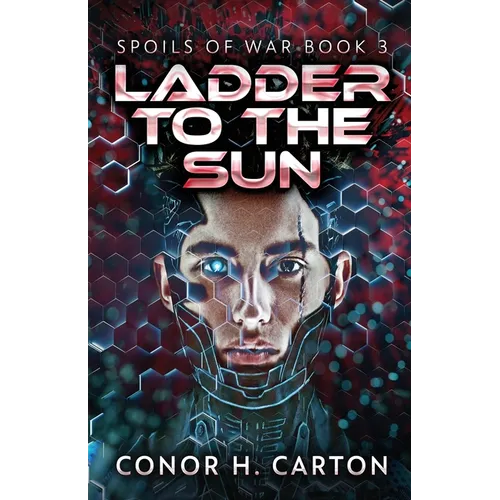 Ladder To The Sun - Paperback