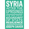 Syria After the Uprisings: The Political Economy of State Resilience - Paperback