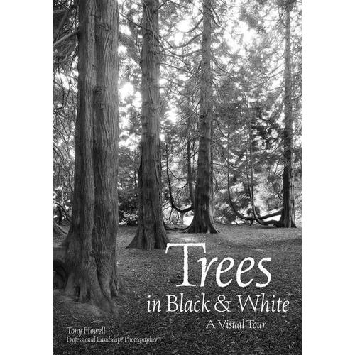 Trees in Black & White: A Visual Tour - Paperback