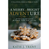 A Merry and Bright Adventure: A Christmas Devotional for Family, Faith, Food, and Fun - Paperback