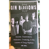 Gin Blossoms: Suicide, Corporatism, Addiction, Creativity, and the Lessons of Doug Hopkins - Paperback