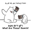 Nanuq and Nuka: What Are These? Kamiik!: Bilingual Inuktitut and English Edition - Paperback