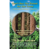 Can't See the Forest for the Trees: A Warning Message to America - Hardcover