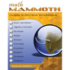 Math Mammoth Grade 6 Review Workbook - Paperback