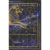 Password Keeper: Leo Constellation - Paperback