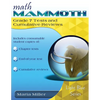 Math Mammoth Grade 7 Tests and Cumulative Reviews - Paperback
