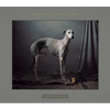 Where Hunting Dogs Rest - Hardcover