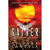 Gather: A House Divided Against Itself Cannot Stand - Paperback