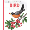 Knowing the Name of a Bird - Hardcover