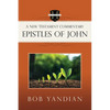 Epistles of John: A New Testament Commentary - Paperback
