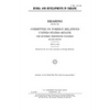 Russia and developments in Ukraine - Paperback