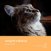 Caring for a blind cat - Paperback