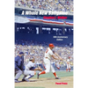 A Whole New Ballgame: The 1969 Washington Senators 50th Anniversary Edition - Paperback