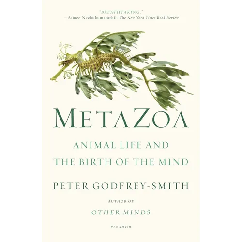 Metazoa: Animal Life and the Birth of the Mind - Paperback