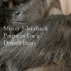Mister Silverback Prepares For a Dinner Party - Paperback