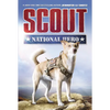 Scout: National Hero - Paperback