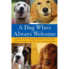 A Dog Who's Always Welcome: Assistance and Therapy Dog Trainers Teach You How to Socialize and Train Your Companion Dog - Paperback