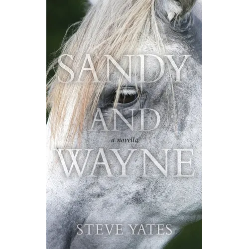 Sandy and Wayne - Paperback