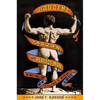 Houdini, Tarzan, and the Perfect Man: The White Male Body and the Challenge of Modernity in America - Paperback