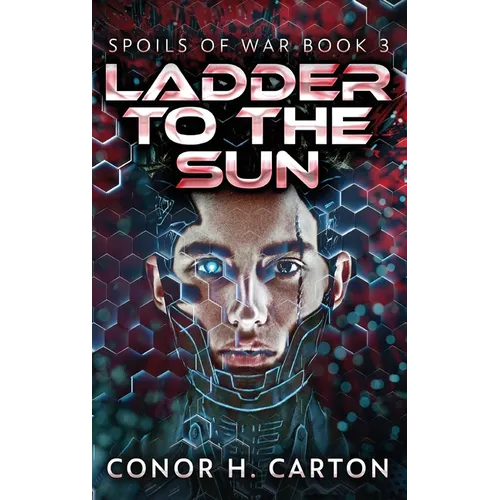 Ladder To The Sun - Hardcover