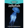 Jellyfish - Paperback