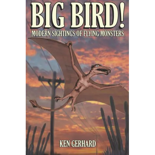 Big Bird! - Modern Sightings of Flying Monsters - Paperback