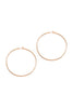 Wire Hoop Earrings