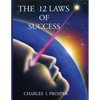 The 12 Laws of Success - Paperback