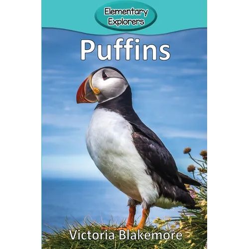 Puffins - Paperback