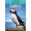 Puffins - Paperback