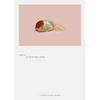 Robert Zhao Renhui: A Guide to the Flora and Fauna of the World: Steidl Book Award Asia 2017 - Hardcover