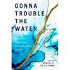 Gonna Trouble the Water: Ecojustice, Water, and Environmental Racism - Paperback
