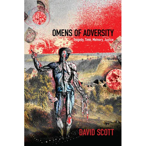 Omens of Adversity: Tragedy, Time, Memory, Justice - Paperback