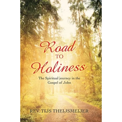Road to Holiness: The Spiritual Journey in the Gospel of John - Paperback