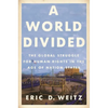 A World Divided: The Global Struggle for Human Rights in the Age of Nation-States - Paperback