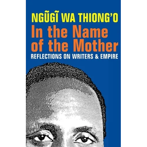 In the Name of the Mother: Reflections on Writers and Empire - Paperback