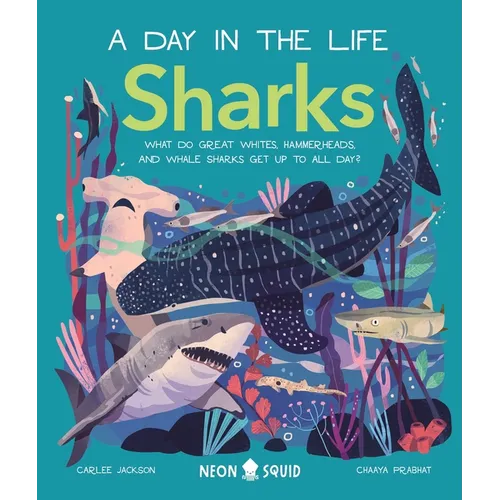 Sharks (a Day in the Life): What Do Great Whites, Hammerheads, and Whale Sharks Get Up to All Day? - Hardcover