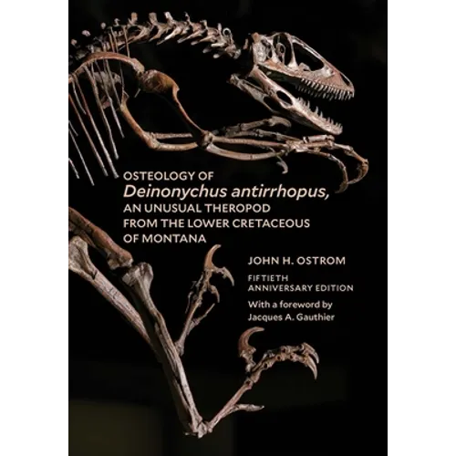 Osteology of Deinonychus Antirrhopus, an Unusual Theropod from the Lower Cretaceous of Montana: Bulletin 30 - Paperback